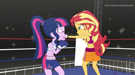 sunset shimmer and twilight sparkle|twilight and sunset shimmer boxing.